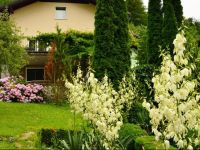  Aparthotel Carpe Diem Lasko