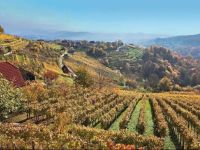  Holiday home Otocec 20