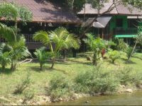  Khao Sok River Lodge