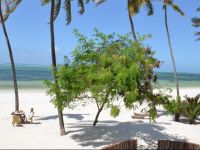  Indigo Beach Zanzibar