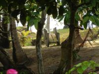  Playa Encantada Beach Resort