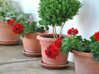  Splendid View House Villa