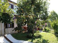  in Vizinada with Two-Bedrooms 1 Holiday Home
