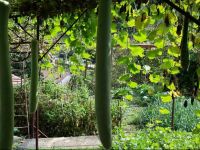  Guesthouse Skadar Lake