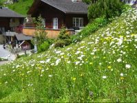  Ferienhaus Brienz