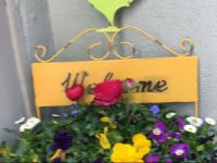  Homestay Color Dream Rooms