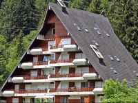  Apartment Anemone II Gryon