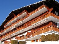  Apartment Gai Matin III Chesieres