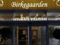  Hotel Birkegaarden