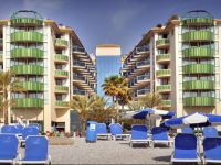  Kaktus Albir