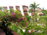  Inna Putri Bali Hotel Cottages & Spa