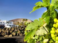  Hotel Rural Finca de La Florida