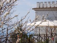  B&B La Torretta Bianca