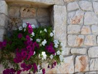  Bed & Breakfast La Collinetta