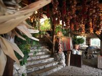  Fattoria Terranova Agriturismo 