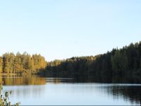  Liukonpellon Luomutila