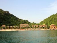  Monkey Island Resort