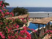  Nesima Hotel & Diving Center Dahab