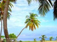  Beach Star Maldives