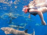  Sunrise by White sand dhigurah 