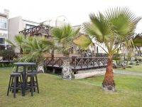  African Pride Burning Shore