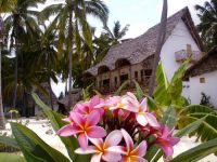  Casa Del Mar Jambiani