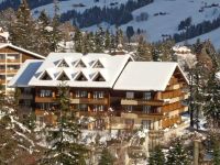  Arena Hotel Steinmattli