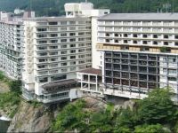  Kinugawa Plaza Hotel