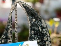  Golden Star Apartments