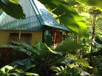  Roots Jungle Retreat