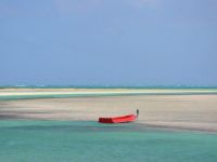  Andros Island Bonefish Club