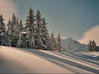  Berggasthaus Salwideli