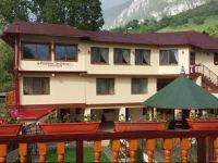  Pension Cuibul Viselor