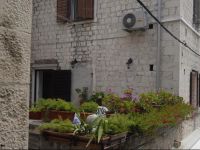  Carrara Accommodation