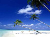  Osho Luxury Apartments