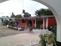  The Plantation Gambia