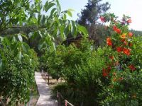  Olympos Inci Pansiyon