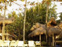  Mikes Dauin Beach Resort