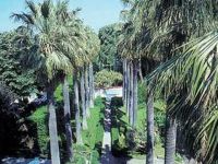  La Residenza Sorrento