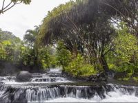  Tabacon Grand Spa Thermal Resort