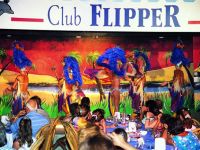  Club Flipper