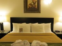  Comfort Inn & Suites Downtown Edmonton