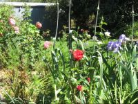  Goat Square Cottages