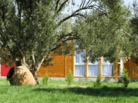  Almondville Bungalows