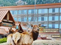  Rocky Mountain Park Inn