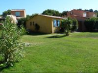 Palmiers De Palombaggia