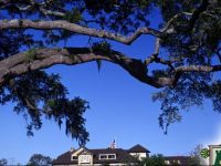  The Lodge at Sea Island