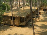  Coastal Jewel of Goa