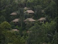  Nandini Bali Jungle Resort & Spa Ubud