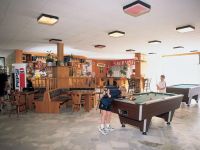  Kamelia (РљР°РјРµР»РёСЏ)